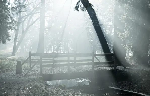 Картинка пейзаж, мост, туман, парк