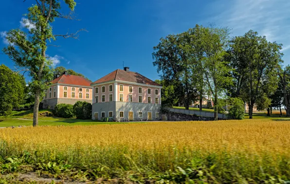 Картинка поле, деревья, цветы, здания, дома, весна, май, Nature