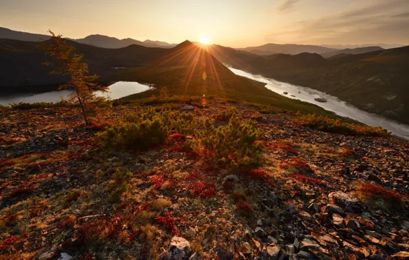 Картинка осень, солнце, река, камни, берег, хвоя