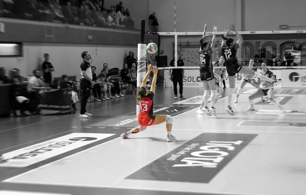 Woman, Sports, volleyball