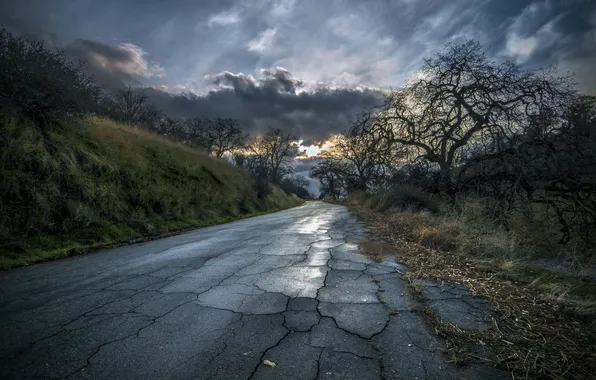 Дорога, пейзаж, ночь