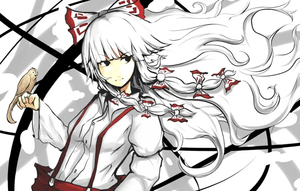 Птица, арт, бант, длинные волосы, touhou, bird, art, тохо