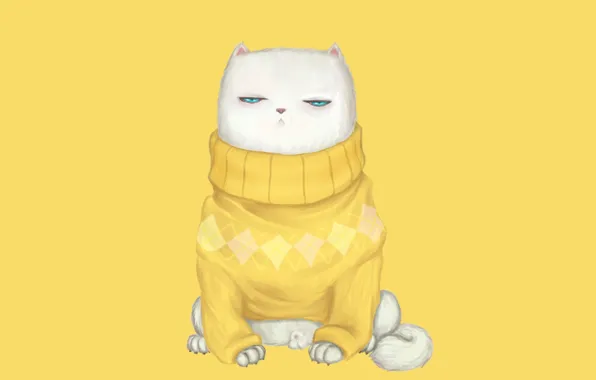 Картинка кот, взгляд, мордочка, свитер