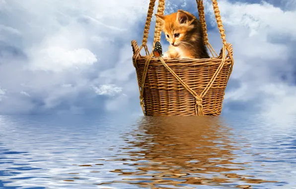 Картинка котенок, бабочка, рябь на воде, корзинка, небо в барашках