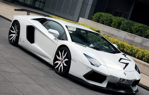 Картинка car, Lamborghini, white, auto, wallpapers, LP700-4, Aventador