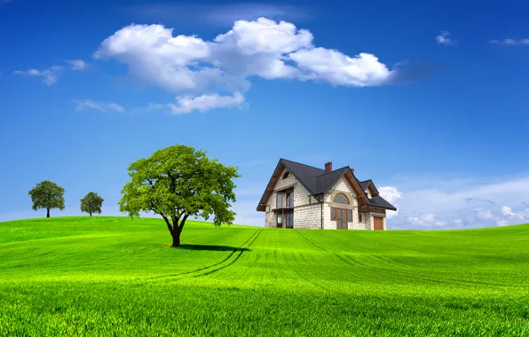 Картинка поле, лето, небо, трава, облака, деревья, пейзаж, природа, дом, дерево, домик, summer, house, grass, sky, …