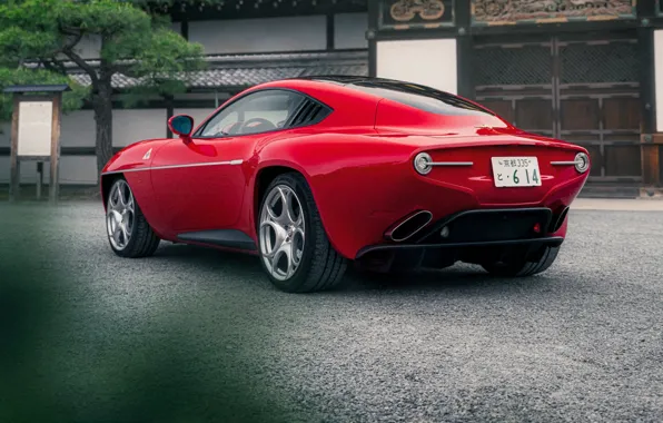 Alfa Romeo, Disco Volante, rear view, Alfa Romeo Disco Volante С52 Vintage Edition