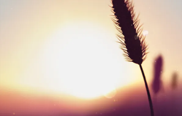 Пейзаж, закат, природа