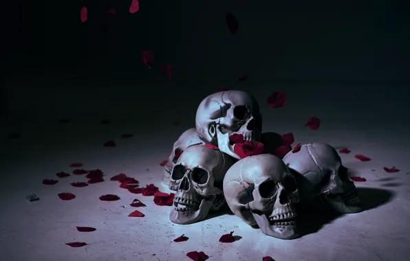 Фон, лепестки, черепа, skull