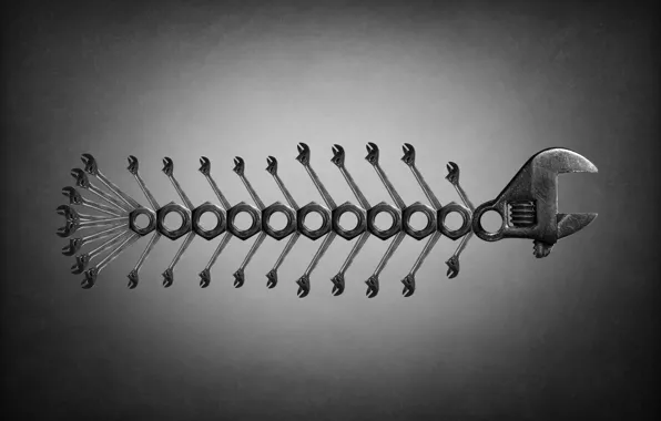 Фантазия, арт, ключи, гайки, Conceptual, скелет рыбы