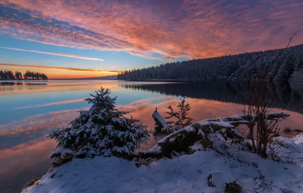 Картинка зима, лес, снег, пейзаж, природа, река, рассвет, утро