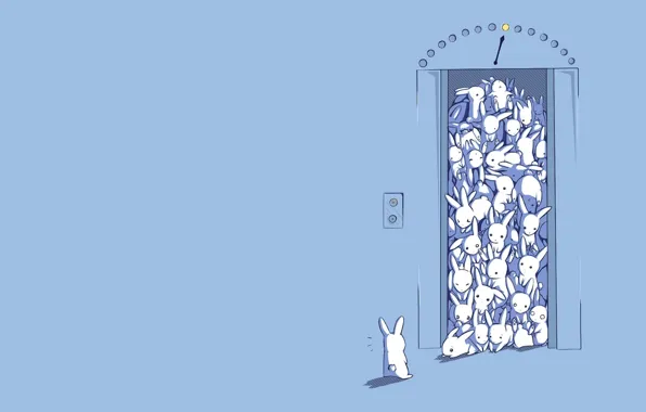 Картинка рисунок, удивление, лифт, кролики, зайцы, много