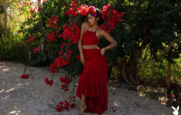 Playboy, red, dress, flowers, beautiful, model, latina, outdoor