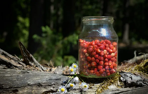 Лес, цветы, природа, ягоды, земляника, банка, бревно, лесная