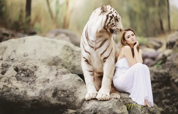 Белый, девушка, природа, тигр, камни, настроение, ситуация, платье