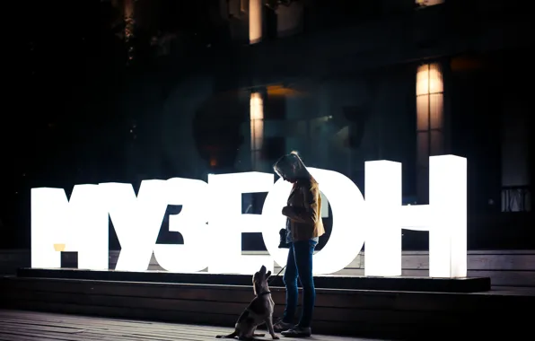 Девушка, ночь, город, огни, парк, отдых, москва, собака