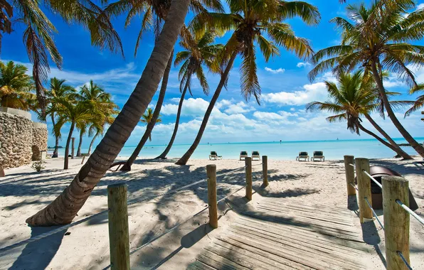 Relax, pacific ocean, sea, sand, palm trees, plant, palm, rest