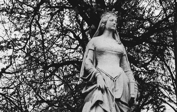 Crown, book, princess, branches