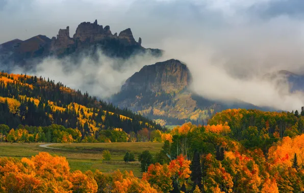 Картинка осень, лес, деревья, горы, туман, краски, Колорадо, США