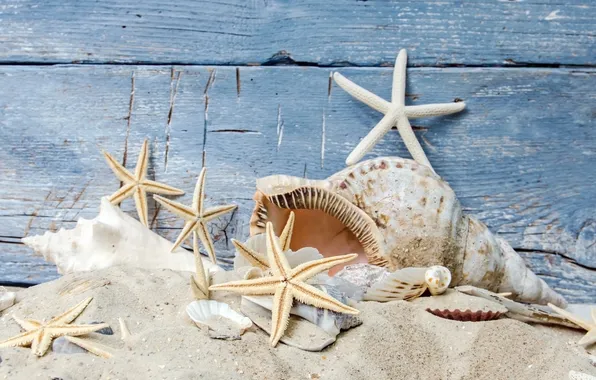 Картинка песок, пляж, звезды, ракушки, beach, wood, sand, seashells