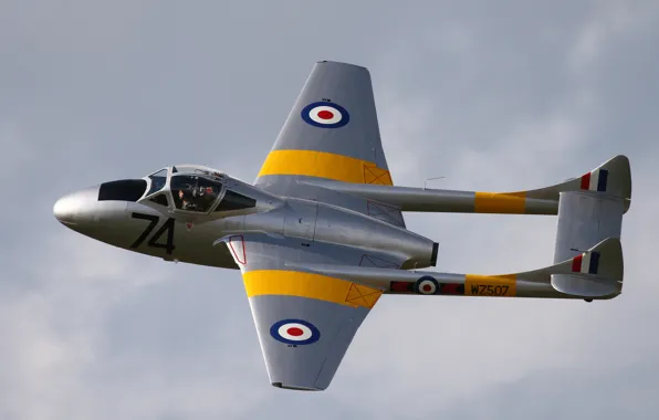 Небо, полет, истребитель, реактивный, Vampire, «Вампир», De Havilland, T11