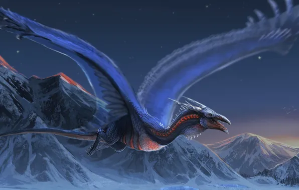 Fantasy, Dragon, landscape, night, wings, mountains, snow, digital art