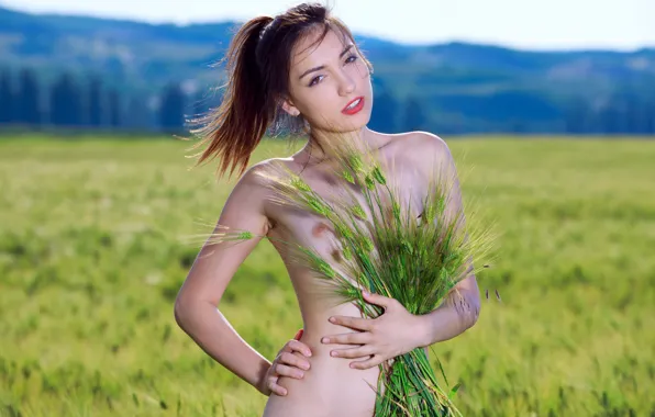 Пшеница, поле, грудь, взгляд, природа, животик, колоски, Gabriele