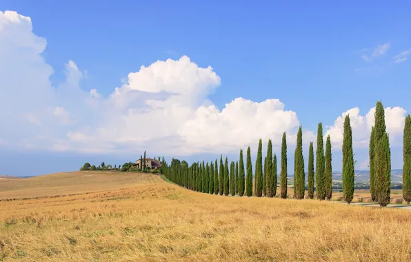 Картинка поле, небо, облака, деревья, синий, дом, Италия, ферма