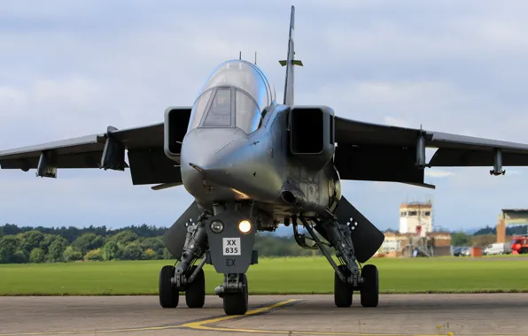 Картинка Jaguar, Истребитель-бомбардировщик, RAF, Sepecat Jaguar, Sepecat Jaguar T4