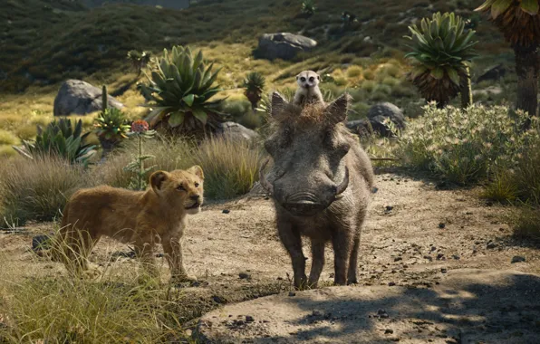 Тимон, Король Лев, Симба, Пумба, львёнок, The Lion King, Тимон и Пумба