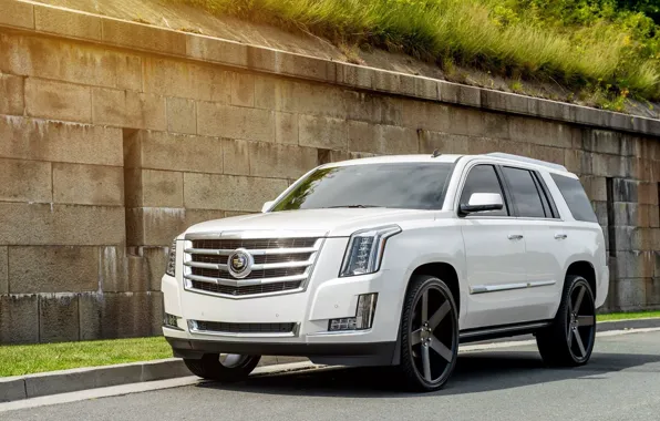 Картинка Cadillac, Escalade, Front, White, Road, 2015, Rides