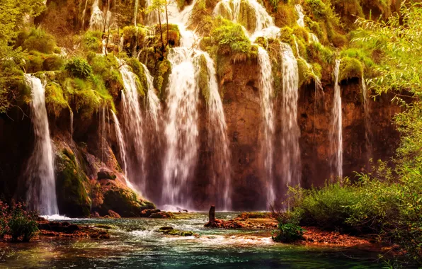 Лес, водопад, Хорватия, Plitvice National Park