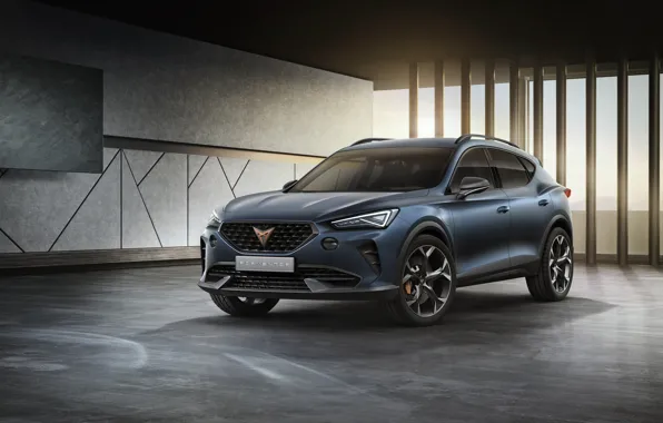 Кроссовер, Seat, Cupra, 2019, Formentor