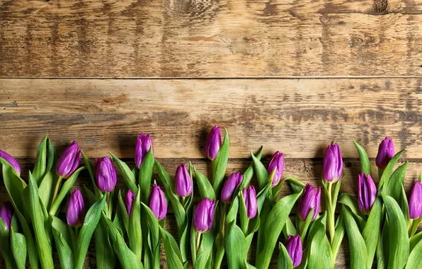 Цветы, тюльпаны, wood, flowers, tulips, spring, purple