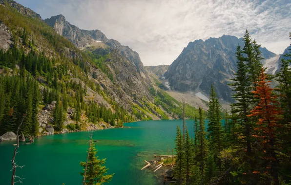 Картинка лес, горы, Альпы