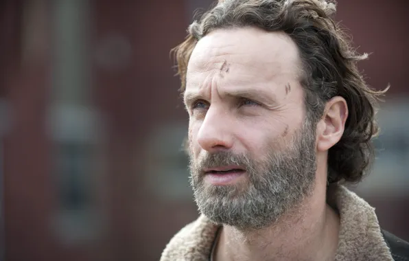 Взгляд, лицо, The Walking Dead, Andrew Lincoln