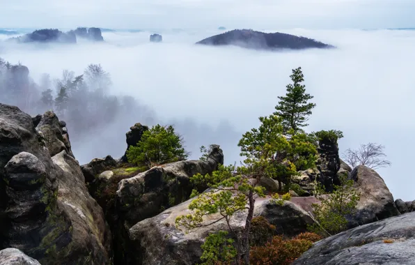 Картинка горы, природа, туман