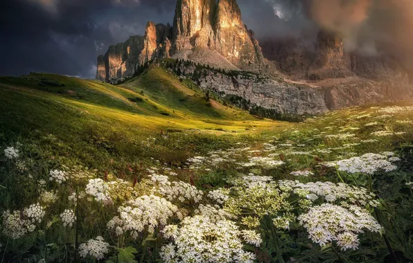 Пейзаж, горы, тучи, природа, растительность, Италия, Доломиты
