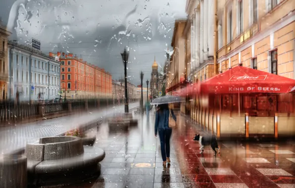 Девушка, капли, дождь, зонт, Санкт-Петербург, Россия