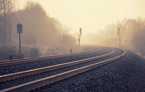 Картинка природа, туман, железная дорога