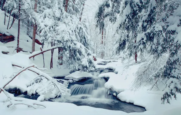 Картинка зима, лес, снег, деревья, ручей, сугробы, речка