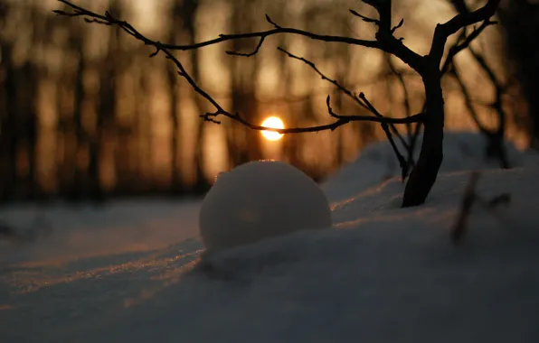 Картинка снег, обои, Зимний лес