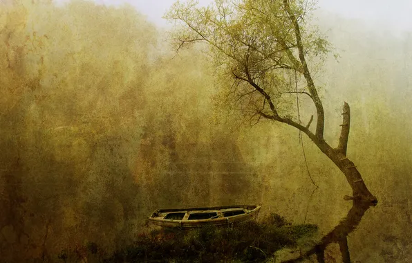 Картинка вода, туман, дерево, лодка, картина
