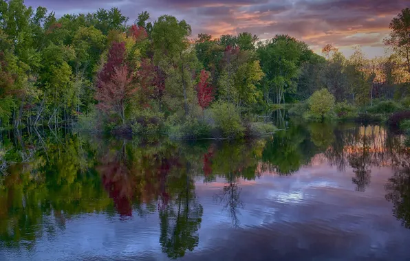Картинка осень, лес, небо, облака, река, вечер
