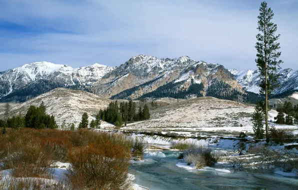 Картинка зима, снег, пейзаж, горы, река, Природа, кусты