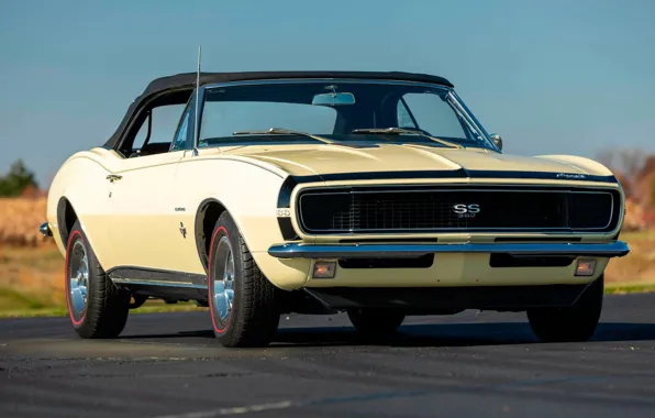 Chevrolet, Camaro, Road, Chevrolet Camaro SS