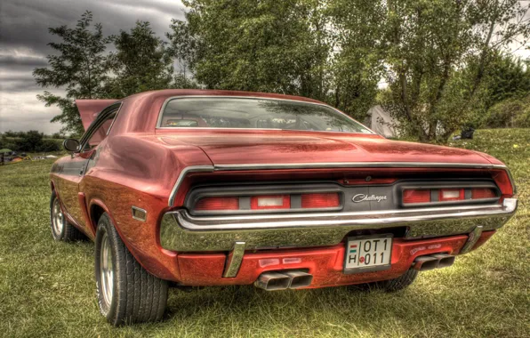 Car, Dodge, challenger, power, r/t, orange, musclecar