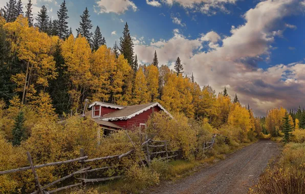 Картинка дорога, осень, лес, дома