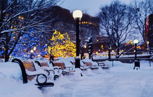 Картинка зима, свет, снег, деревья, город, огни, вечер, фонари