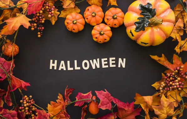 Листья, Halloween, тыква, Хэллоуин, черный фон, pumpkin